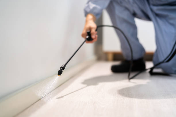Licensed Mosquito Control service in Browns Point, WA - Show Me Pest Control