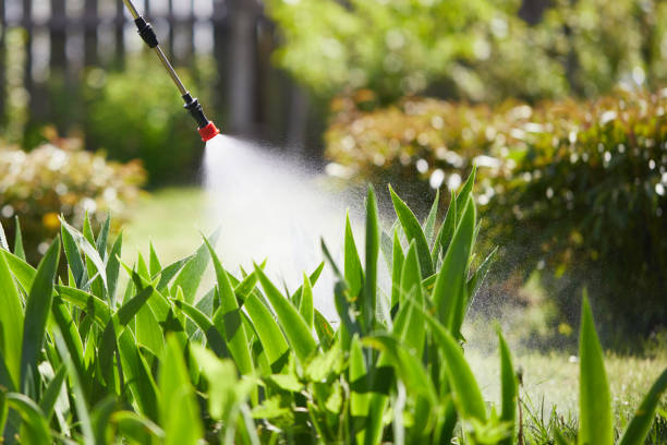 24/7 Emergency Mosquito Control experts in Browns Point, WA