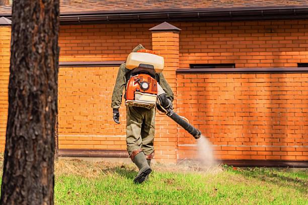 Top rated local Mosquito Control specialists in Browns Point, WA
